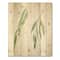Designart - Two Willow Branches - Farmhouse Print on Natural Pine Wood